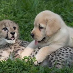 Meet your Posher, Tyja